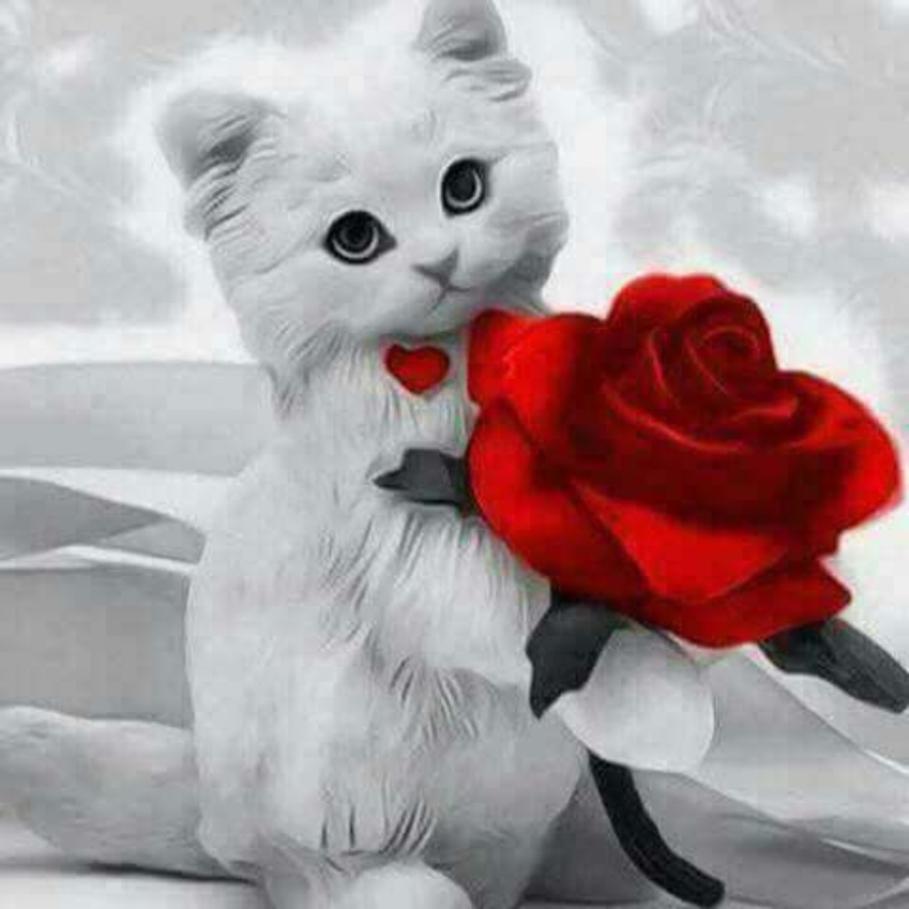 Meet your Posher, Barbara